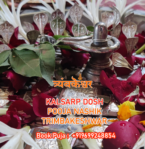 Kalsarp Puja Nashik